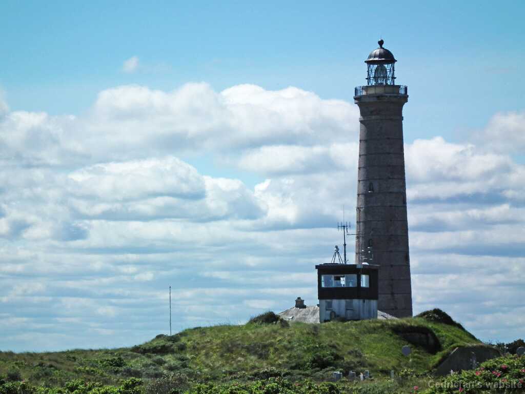 DSCF5578
