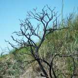 DSCF5582