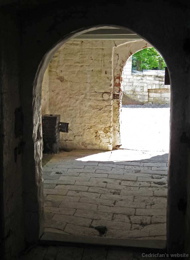 DSCF5161