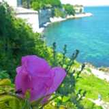DSCF5175