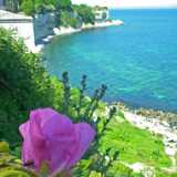 DSCF5176