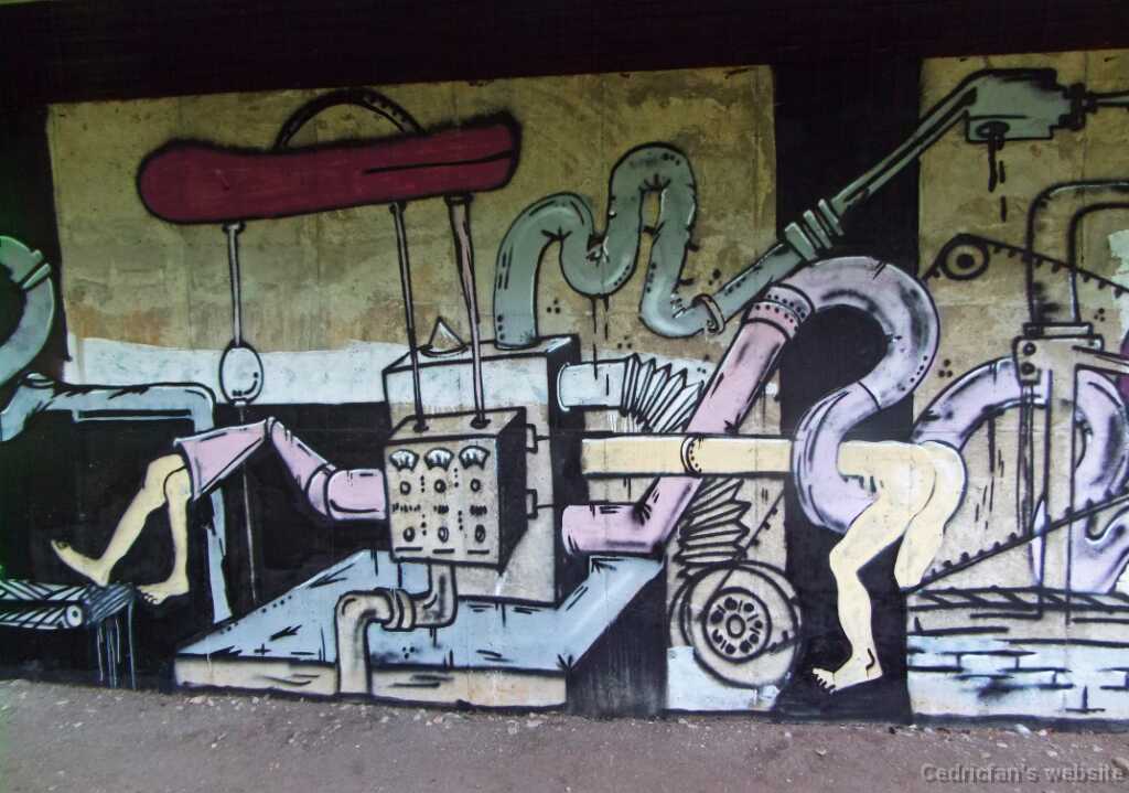 DSCF4619
