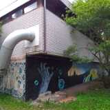 DSCF4616
