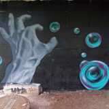 DSCF4617