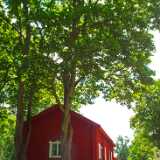 DSCF4627