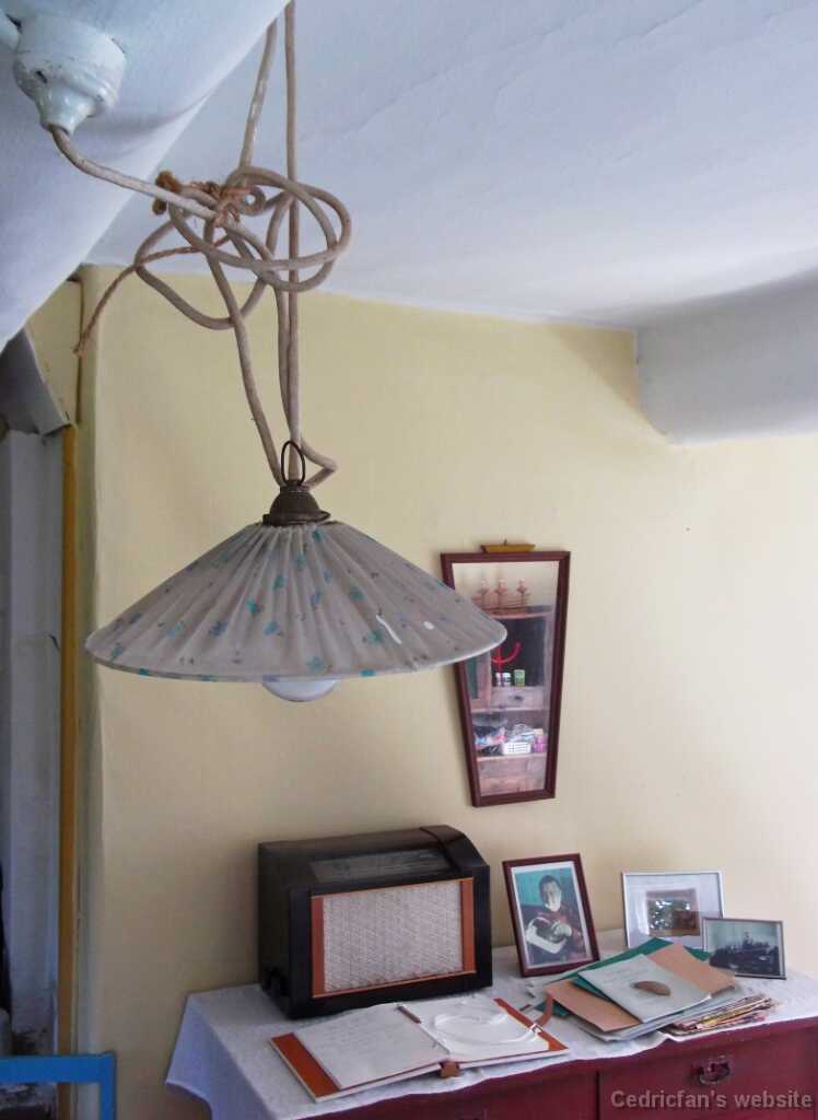 DSCF4600