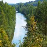 DSCF4929