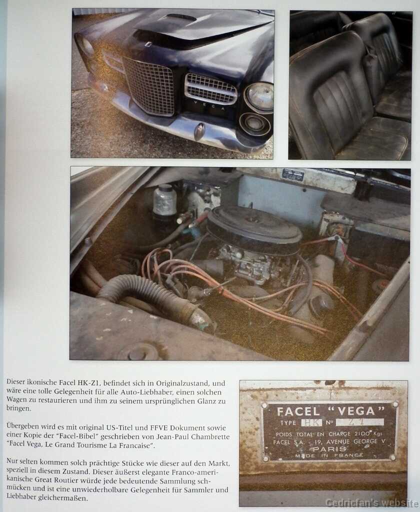 FacelVega (3)