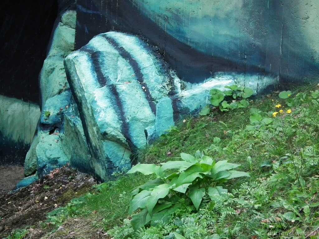 DSCF5739