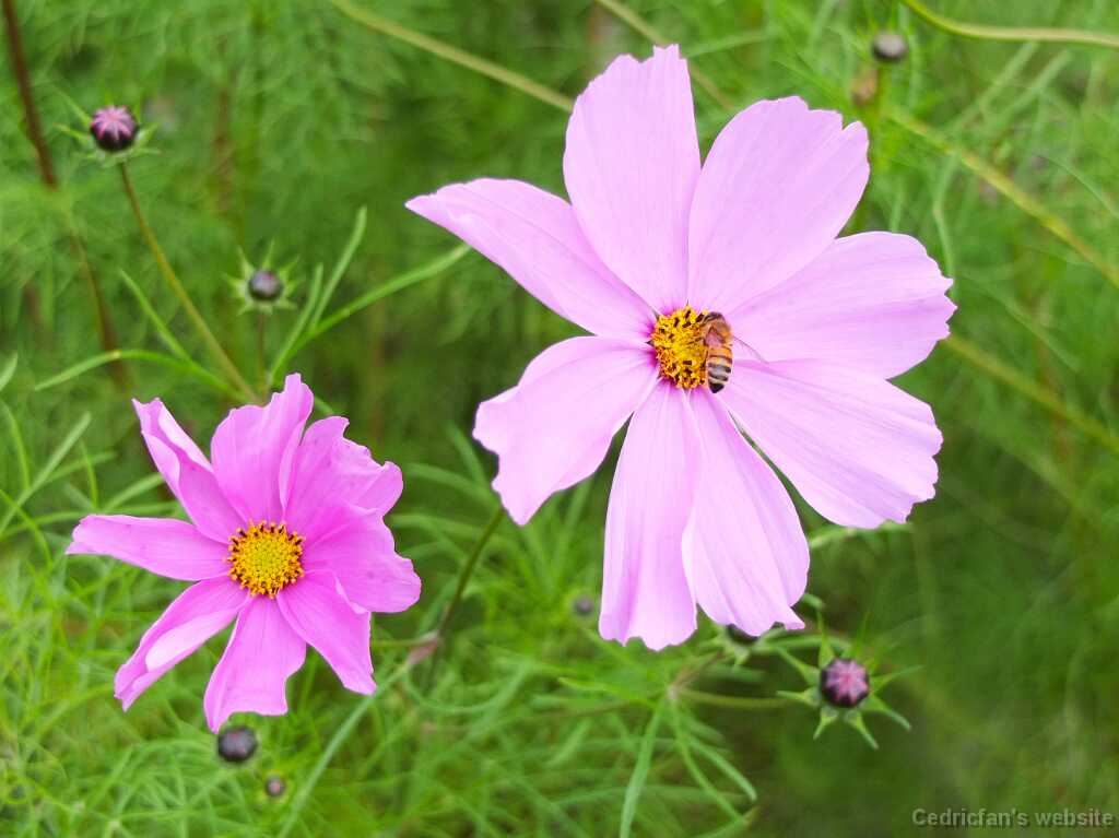DSCF5093