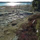 15_03_Last_of_Winter_Uki