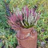 15_11_Sweden_Dalarna