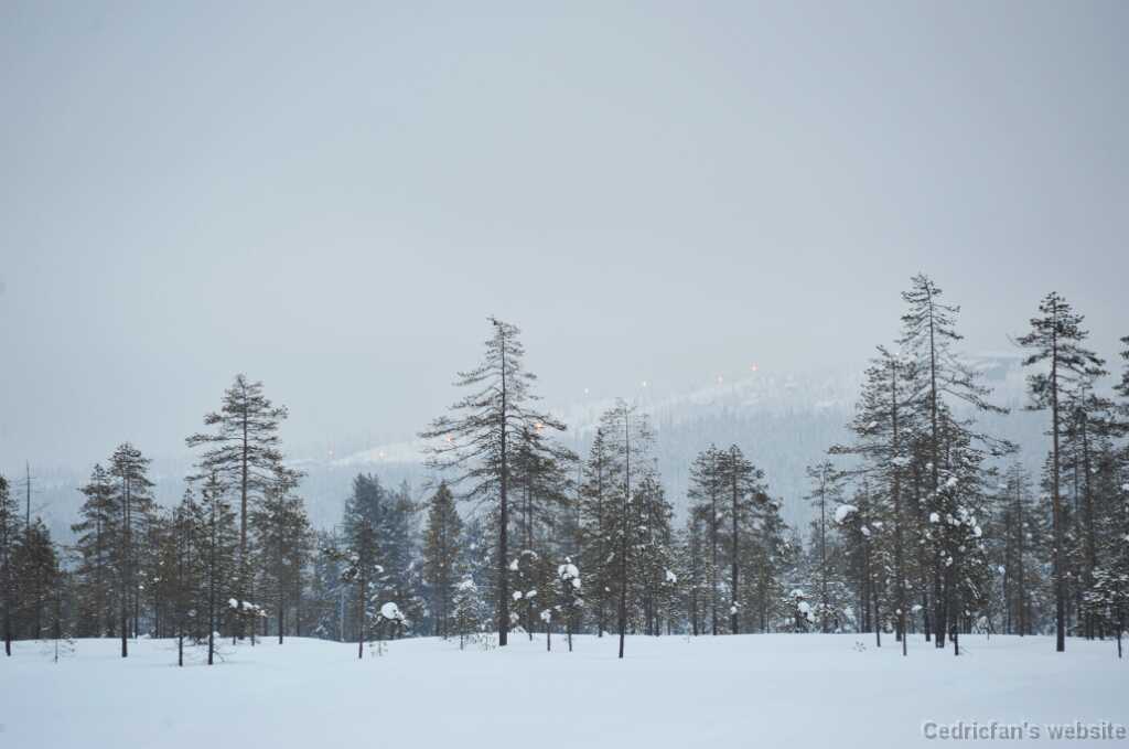 DFX_8692