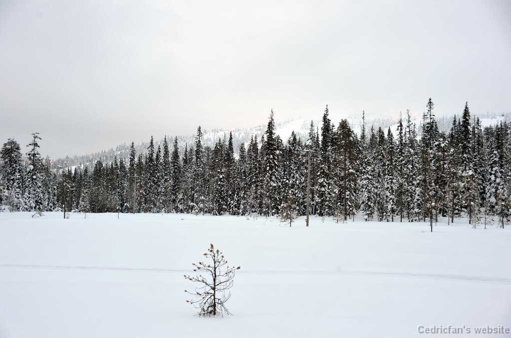DFX_8693b