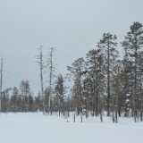 DFX_8691
