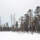DFX_8691b
