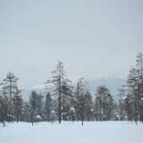 DFX_8692