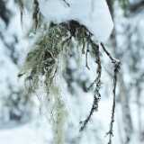 DFX_8694