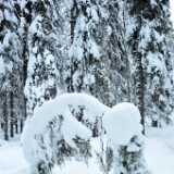 DFX_8696