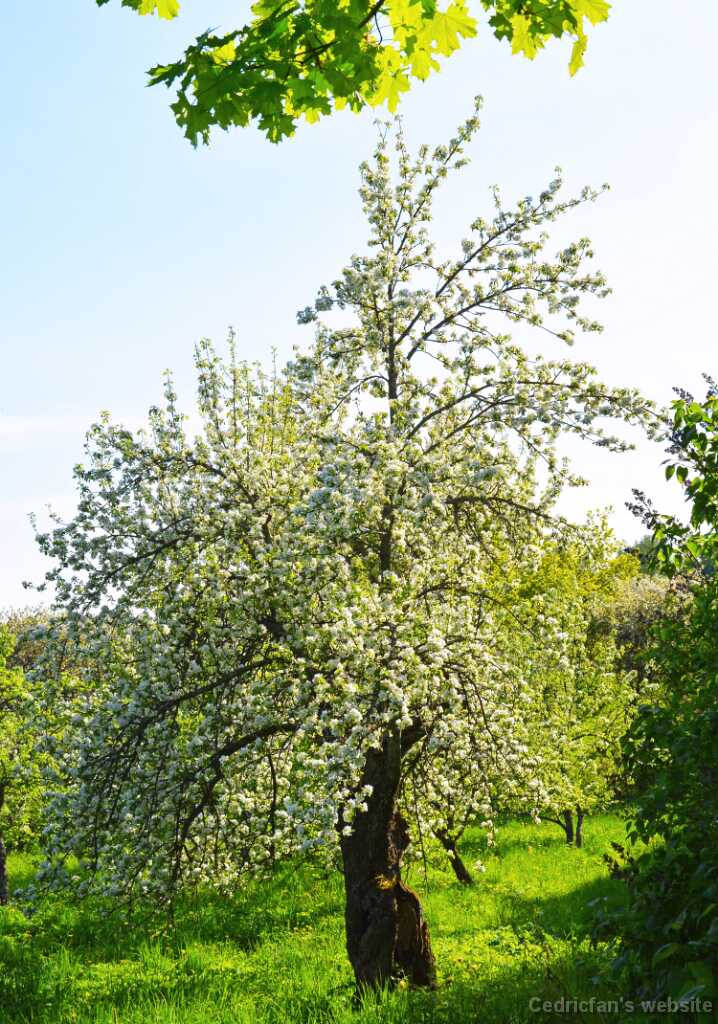 DSN_0802