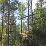 DSCF5154