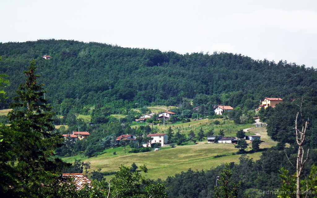 DSCF2357