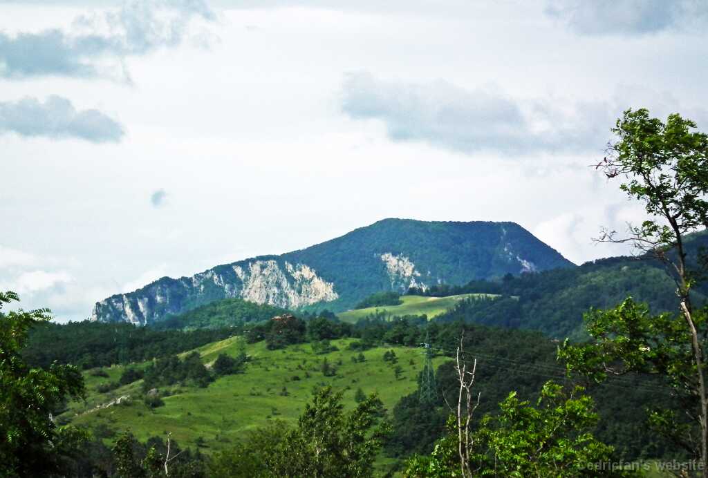 DSCF2359