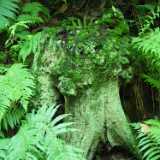 DSCF2568