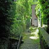 DSCF2579