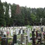 DSCF2141