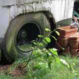 DSCF2444