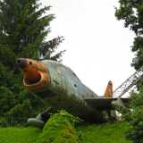 DSCF2532