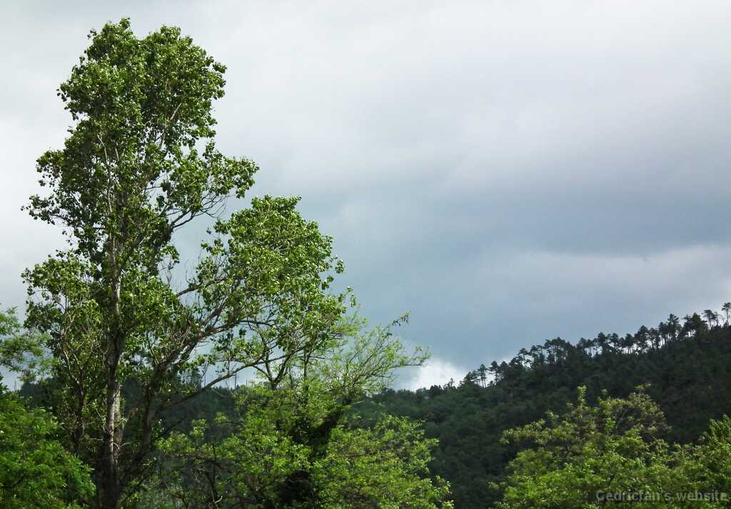 DSCF2102