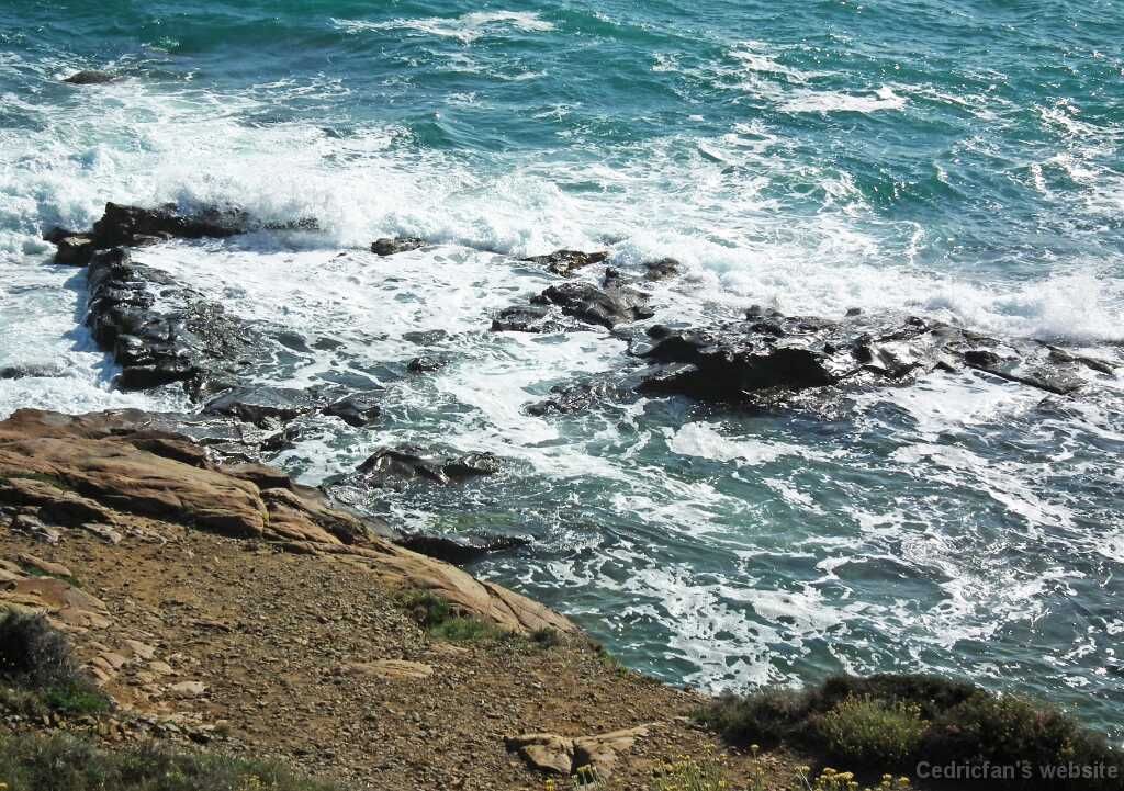 DSCF2204