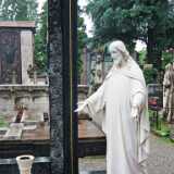 DSCF2064