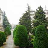 DSCF2070