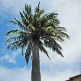 DSCF2172