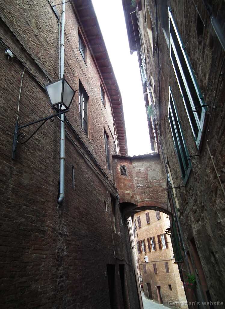 DSCF2300