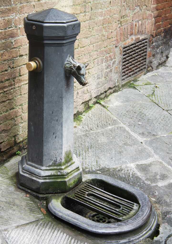 DSCF2305