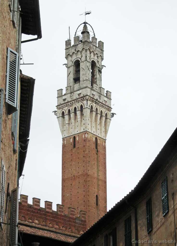 DSCF2307
