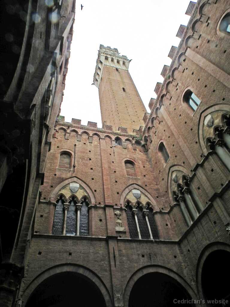 DSCF2311