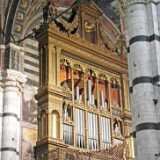 DSCF2316