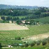 DSCF2212