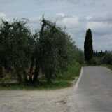 DSCF2217