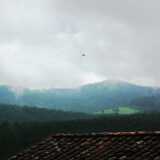 DSCF2262