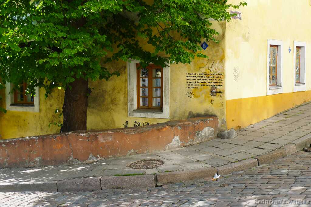 L1080887