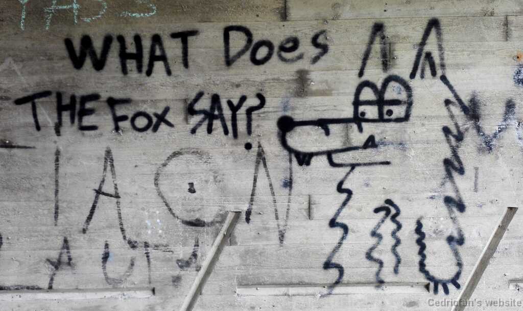 2016-08-06 15.41.25