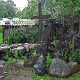 DSCF2608