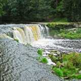 DSCF2956