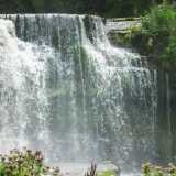 DSCF2959